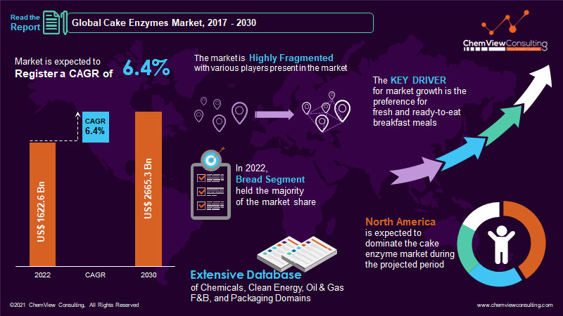 Cake Enzymes Market